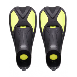 Palmes Finis Zoomer Atria